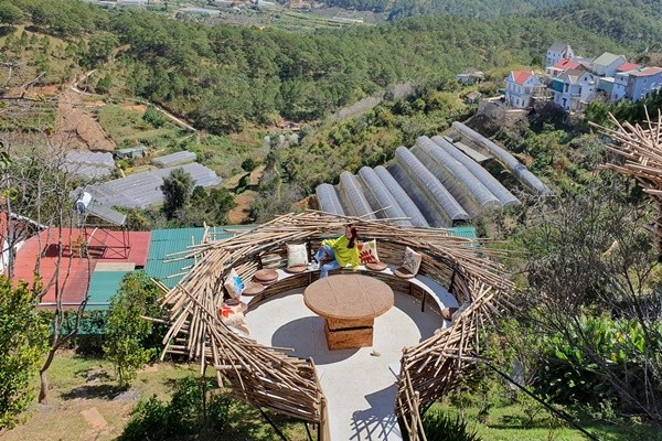 Khu tổ chim bắt trọn view núi đồi - Ảnh: Ti Ti Phạm