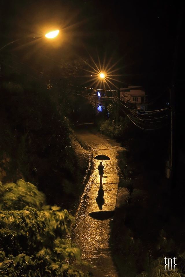 107434713 1976952945770516 7695900096635554996 O