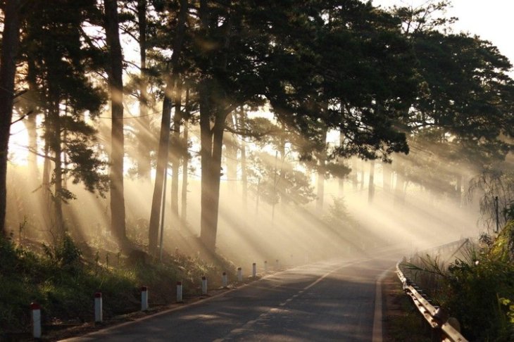 Photo 2020 07 11 07 10 57