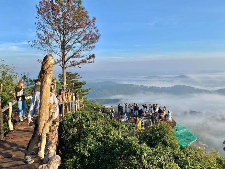 101013136 1999124636884930 7926694424912855040 O 7