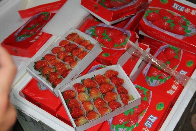 08bec43f 5ed4 4d9d A69e B96c3d1650e0