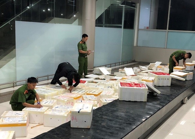 4eb5dcad 63d7 45e9 981c 67e65b291ee0 1