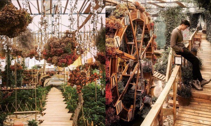 Hoa khô được trang trí ở mọi góc của quán