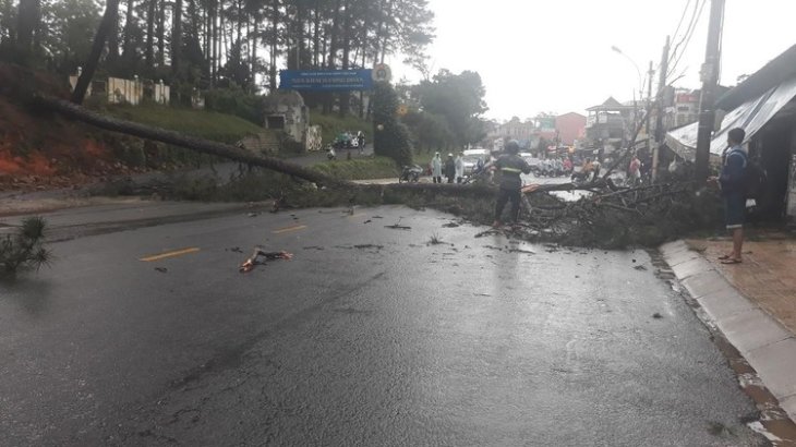 Z1988654338224 2ff3c2aea64831689f36889fe34a11b0