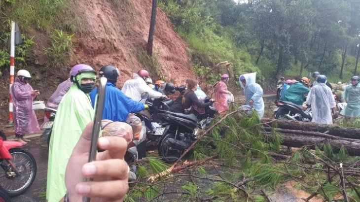 110336539 1354711134724765 4989338187431329376 O