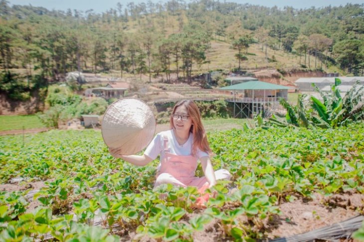 82241683 2599291643517075 1001977894055968768 O