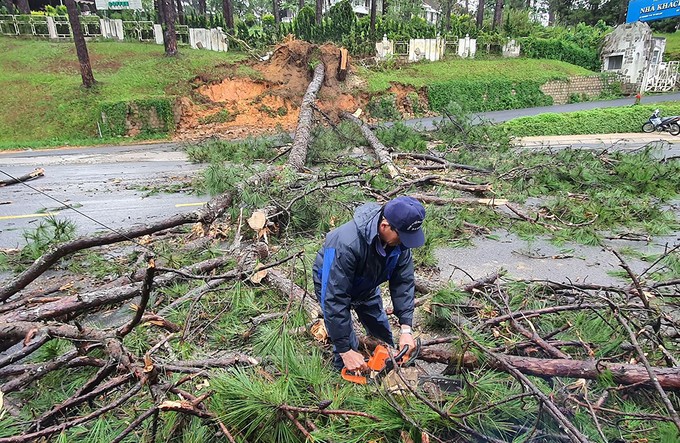 Cay Do 4599 1595510307