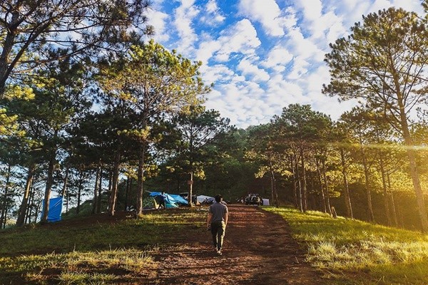 Đà Lạt một ngày trong lành - Ảnh: Minh Hạnh Phan