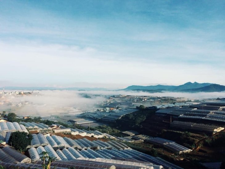 57503920 325598398146767 4092866914102018048 N