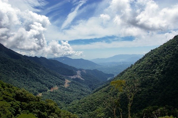 Sở hữu khung cảnh núi rừng bạt ngàn