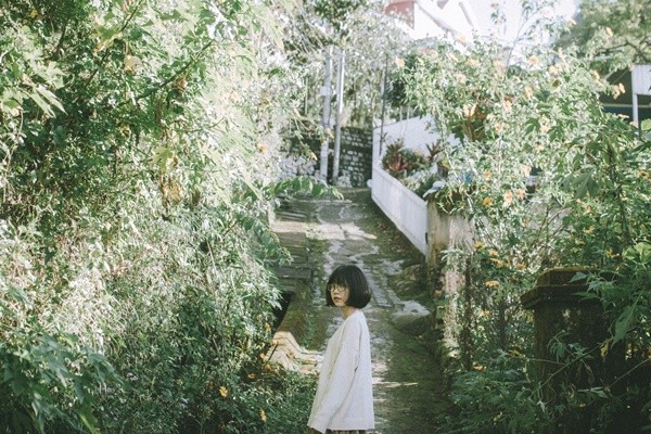 Đà Lạt qua một góc nhìn khác - Ảnh: Kathy Phạm