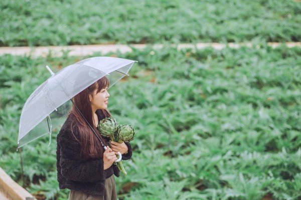 Vườn hoa khi lên hình cũng rất hút mắt - Ảnh: Nguyễn Uyên Uyên