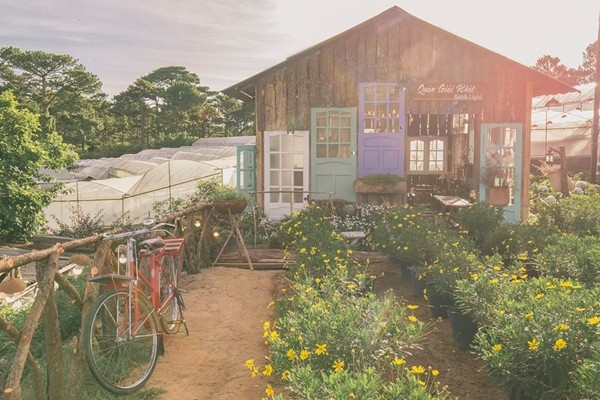 Một chốn yên bình giữa lòng Đà Lạt