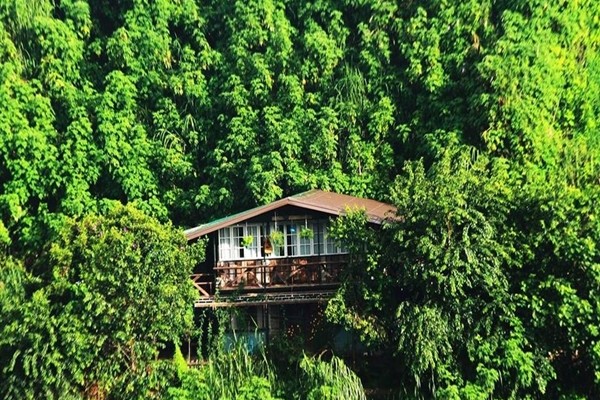 Homestay nằm lọt thỏm giữa những hàng cây xanh