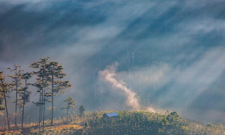 43666862 2052386608151446 416069648220422144 O