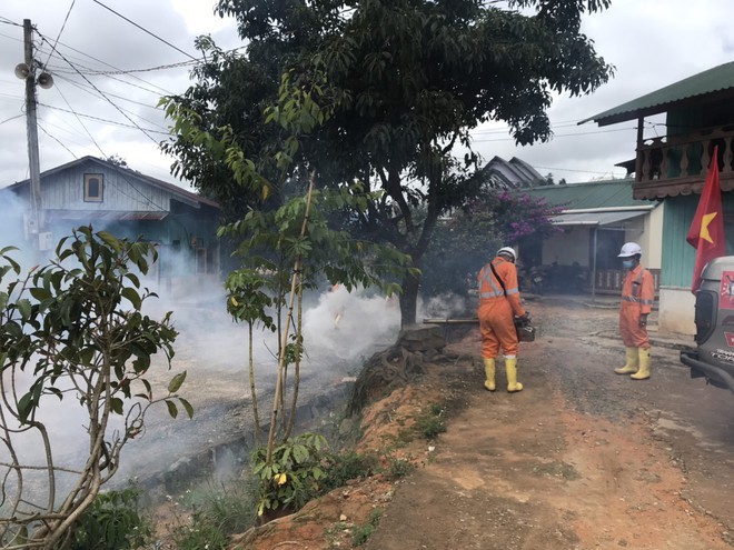 123c69f07522897cd033 Chjf