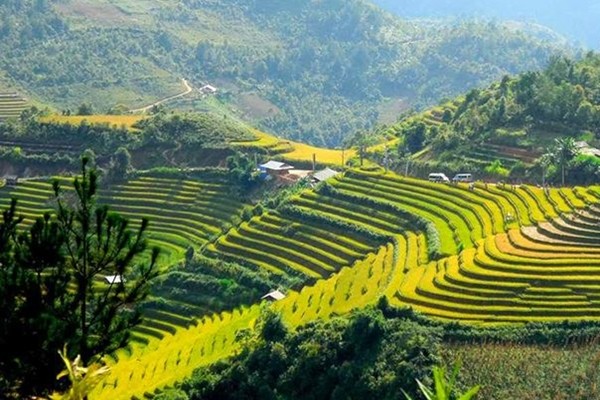 Nơi gieo trồng ra những loại cây trái cho Đà lạt