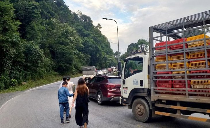 Images2309212 Anh 2 57