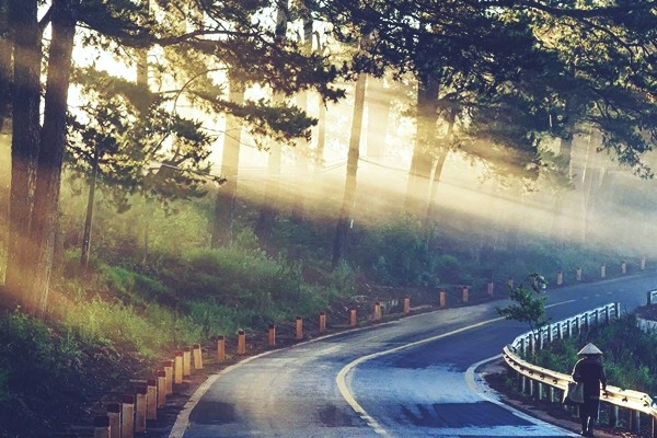 Trong cái buồn là nét mộng mơ đến lạ