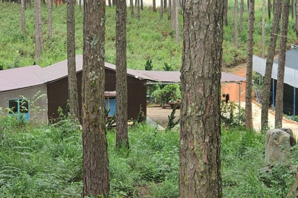 Ngang nhiên phá rừng để xây dựng nhà trái phép