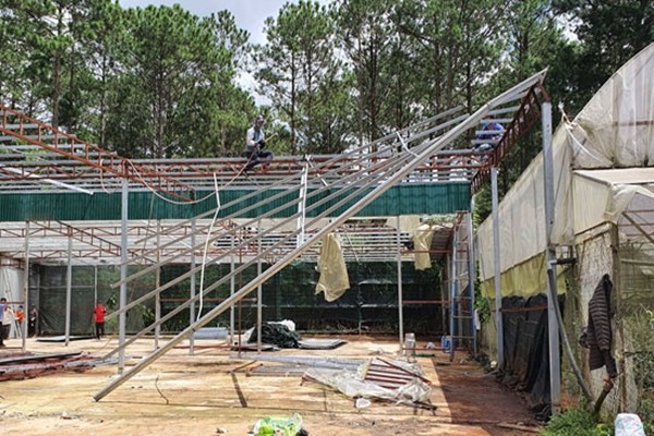 Lực lượng chức năng cưỡng chế, giải tỏa nhà kính dựng trái phép 