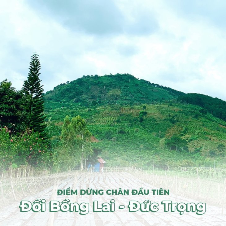 118650083 4367481706627471 6685757690289471717 N