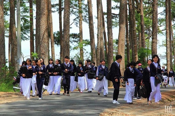 Nữ sinh duyên dáng trong tà áo dài - Ảnh: Trương Ngọc Thụy