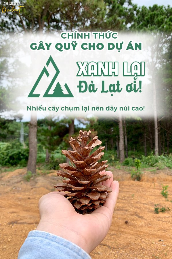 118781576 4373399692702339 2335984530447927965 N