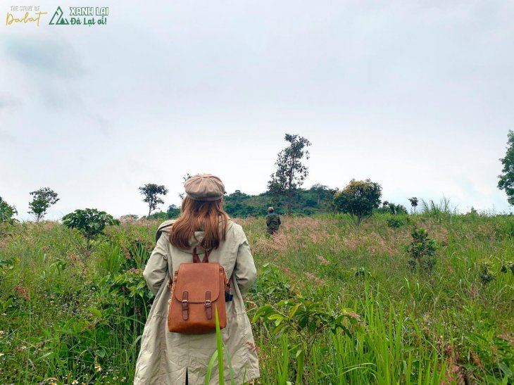 119474133 4428220213886953 1063924181211559084 O