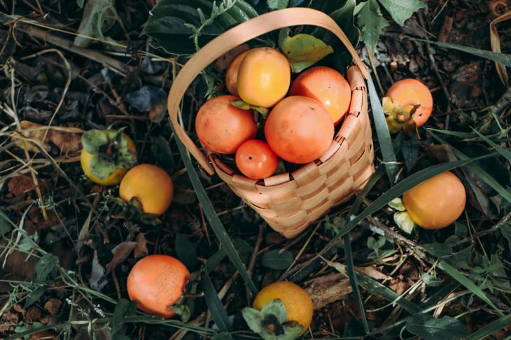 118675180 331149841362798 5434488027703856020 N