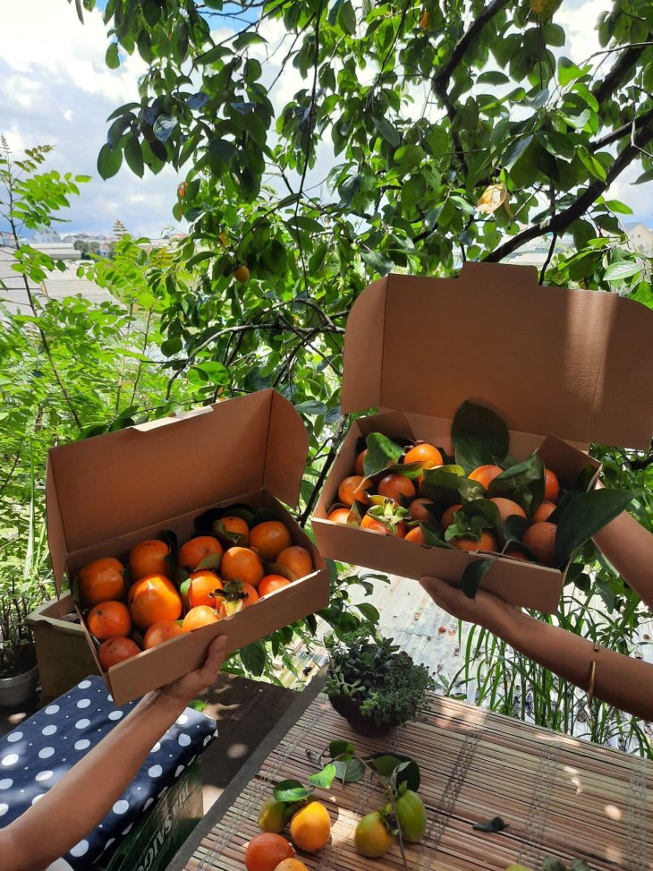 118790985 343182967036360 5493954598640691790 O