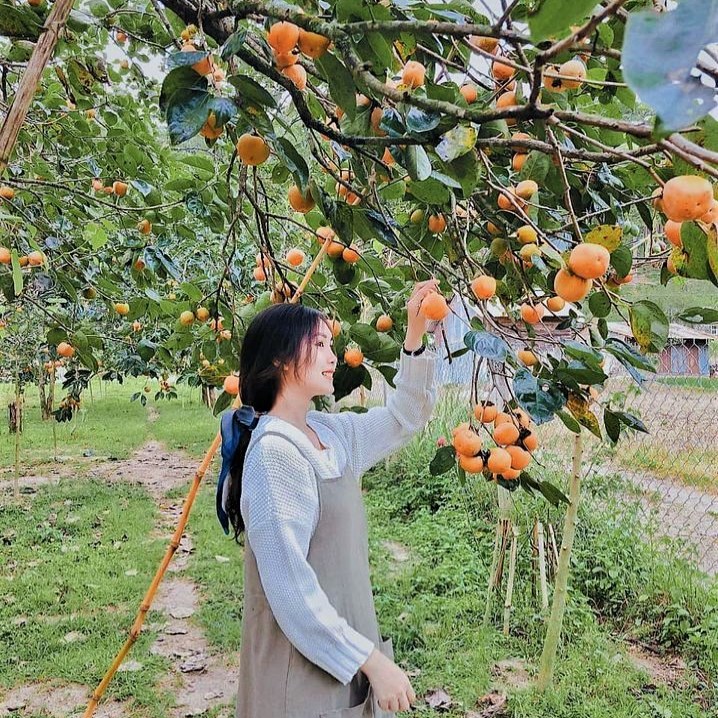 119590075 4903545133006141 2057031048152036124 N