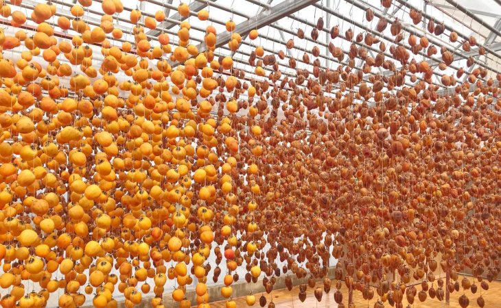 Dd28e598821764493d06 1