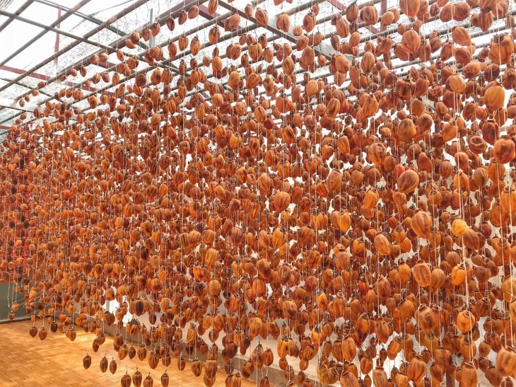 F0b7f101968e70d0299f