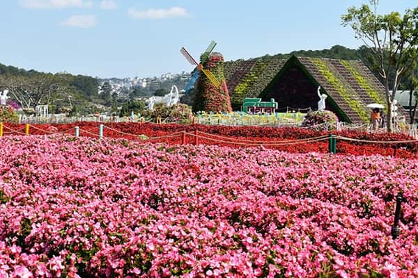 Kdl Lang Hoa Van Thanh