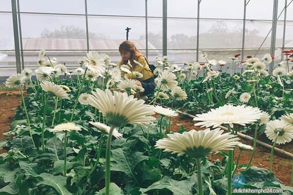 Lang Hoa Van Thanh Co Gi