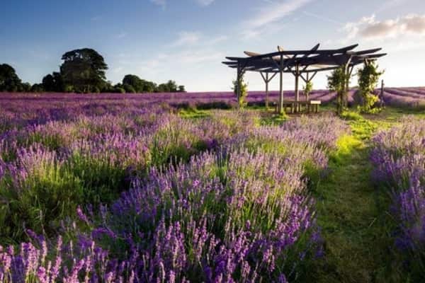 Lang Hoa Van Thanh Dep