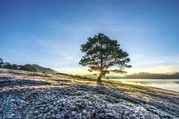 Check In Cac Diem Du Lich Da Lat