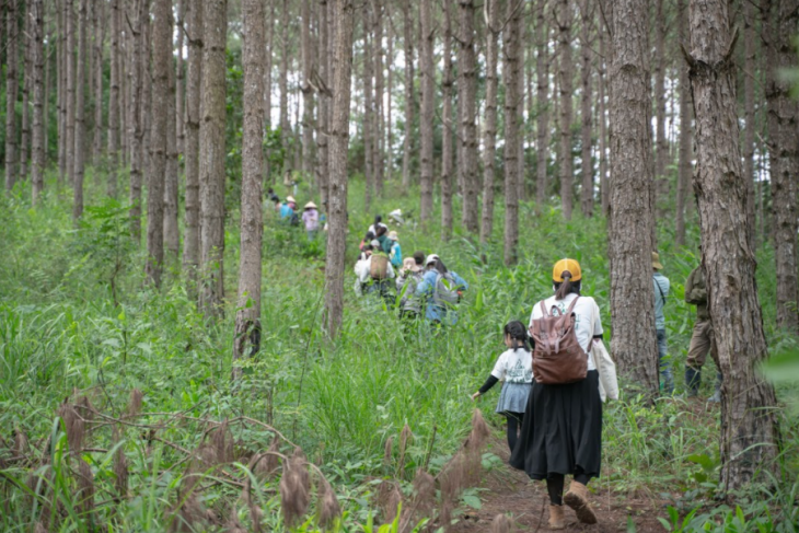 Vuot Nui De Di Trong Cay