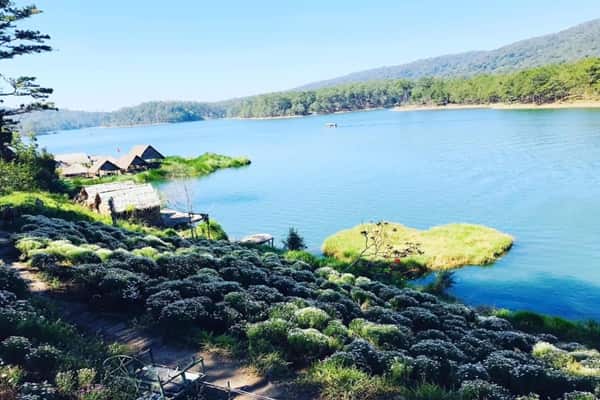 Check In Happy Hill Da Lat