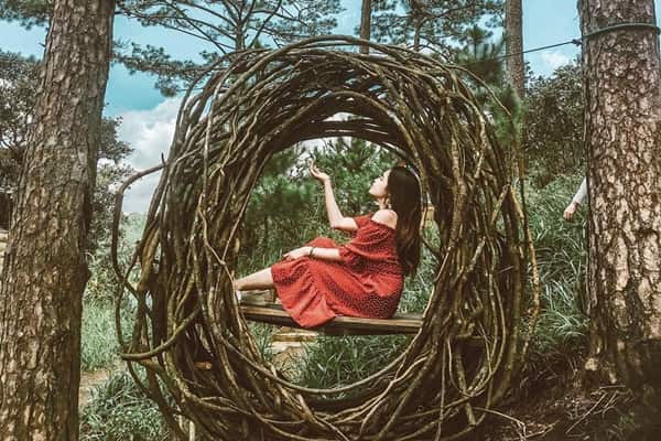 To Chim Happy Hill Da Lat