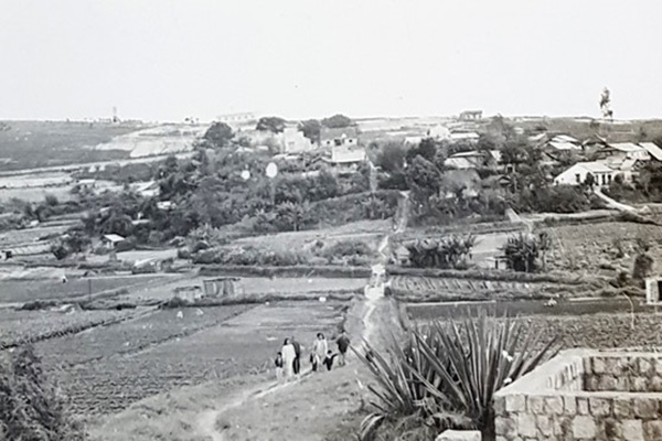 Images2739327 3langhoa