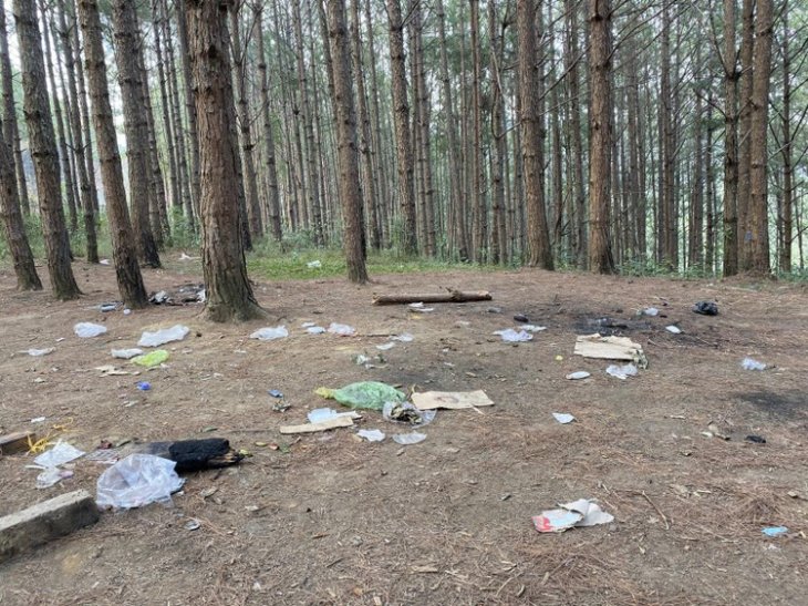 Faff8083bb13424d1b02