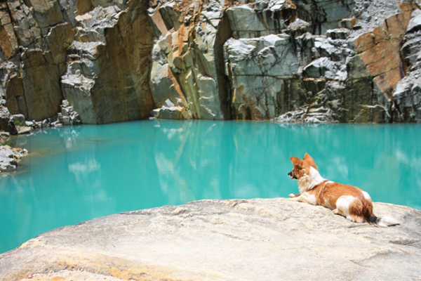 Check In Tuyet Tinh Coc