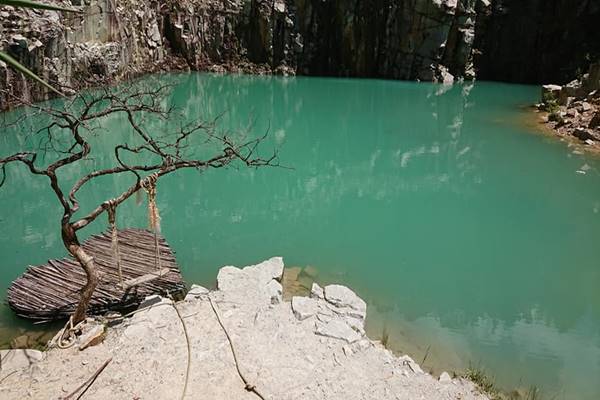 Hinh Anh Tuyet Tinh Coc Da Lat