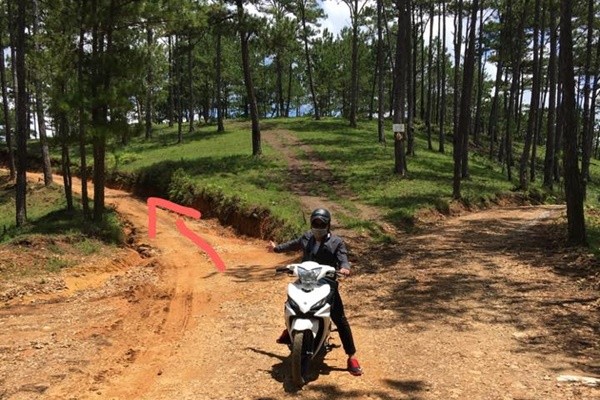 Huong Dan Duong Di Tuyet Tinh Coc Da Lat