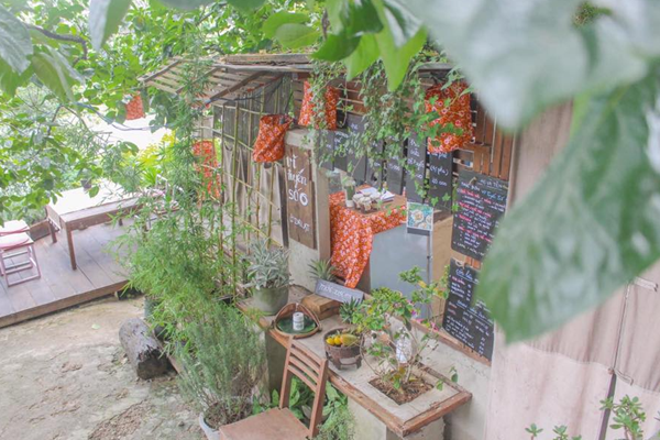 Vi Tuyen So 6 Da Lat