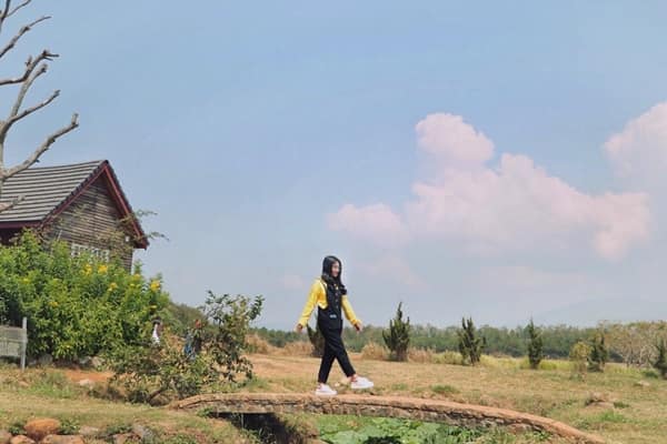 Nong Trai Da Lat Milk