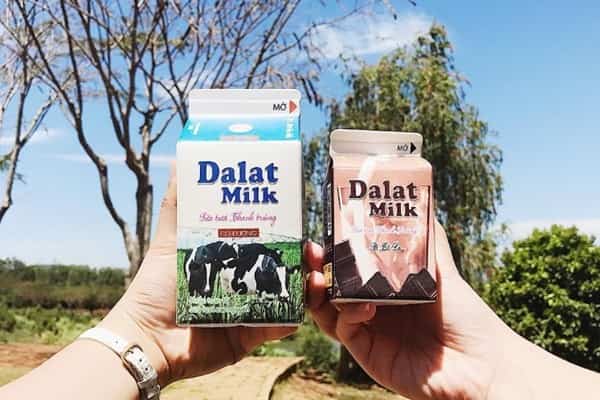 Thuong Thuc Sua Da Lat Milk
