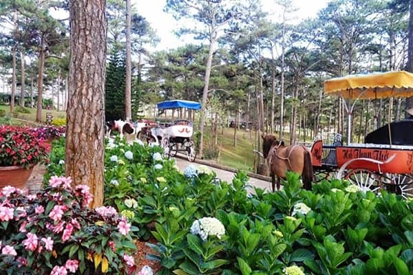 Cam Tu Cau O Ho Than Tho